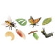 thumbnail image 3 of Juguetes de aprendizaje Strade Fareast Limited ciclo de vida de los animales Estilo A, 3 of 5