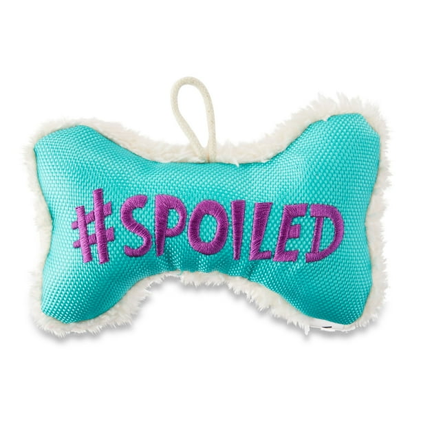 Vibrant Life Cozy Buddy Squeaky Bone Dog Toy, Spoiled, Chew Level 1