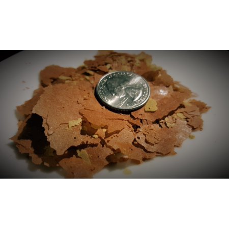 12 Oz. Tropical Fish Food Flakes For Freshwater And Marine Fish by Simply Green