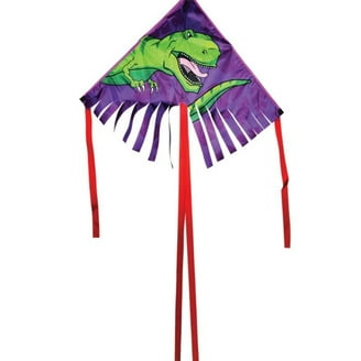 X-Kites WindFriend Minion Carl 3D Nylon Windsock, 26