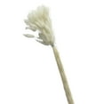 thumbnail image 2 of Mairbeon 1 Set Dried Flower Bouquet Romantic Easter Celebration Bunny Tail Household Products, 2 of 9