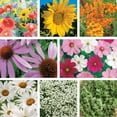 thumbnail image 2 of Ferry-Morse Pollinator Wildflower Garden Non-GMO Seed Variety Pack - 8 Pack, 2 of 5