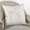 Vanilla, variant on Fennco Styles 20-inch Shimmering Starburst Down Filled Throw Pillow, 4 Colors (Silver)