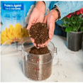 thumbnail image 2 of Miracle Gro Moisture Control Potting Mix, 16 Quart, 2 of 5