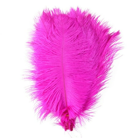 

EUBUY 10 Pieces Ostrich Feathers DIY Pendant Earrings Dream Catcher Handmade Earrings Clothing Accessories Christmas Home Decor for Weddings Thanksgiving Birthday Party Gifts Red Type 3