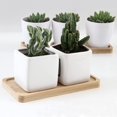 thumbnail image 4 of Platillo de bambú para plantas, miniplato rectangular de bambú para macetas, bandeja para jardineras de bonsái, platillo de drenaje de bambú para plantas del hogar, 4 of 5