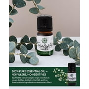 Essence Eucalyptus Essential Oil, 5 mL – Aromatherapy Oil for Diffuser and Home Use