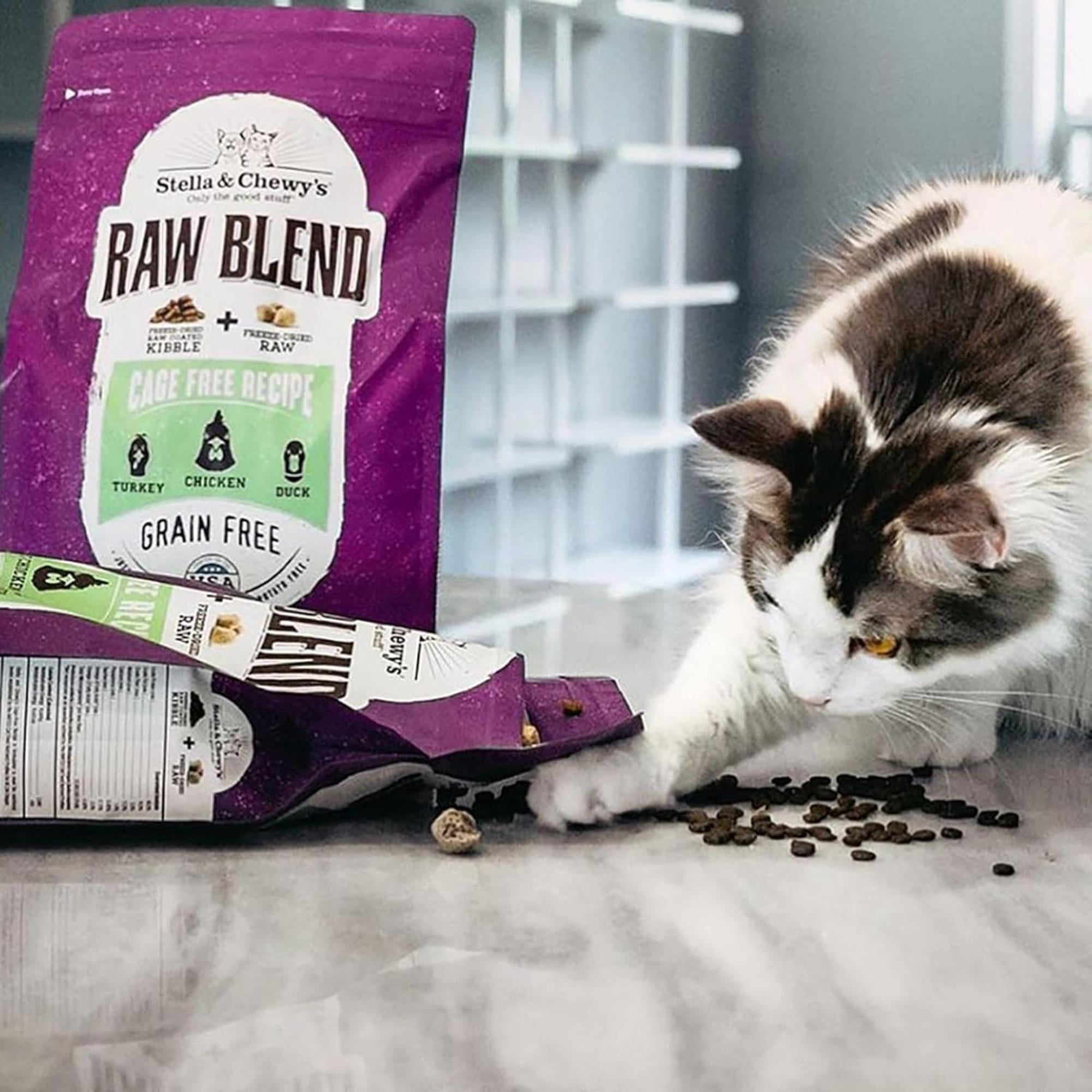 Stella & Chewy's Baked Kibble for Cats - Raw Blend Cage-Free Recipe - 2.5 Pound Bag