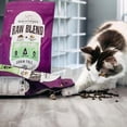 thumbnail image 3 of Stella & Chewy's Baked Kibble for Cats - Raw Blend Cage-Free Recipe - 2.5 Pound Bag, 3 of 8