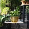 thumbnail image 6 of Ordivic 8 inch Golden Ceramic Plant Pot with Drainage & Saucer, Round Modern Pots for Plants for Indoor Trees Pothos,Home Decor, 6 of 6