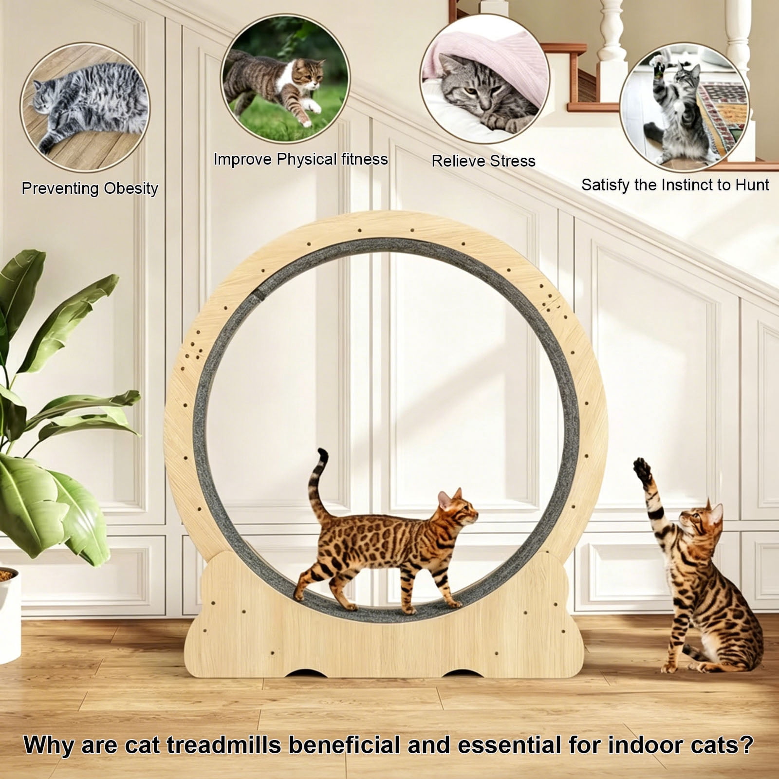 Large Cat Exercise Wheel, Indoor Cat Treadmill with Detachable Carpet, Quiet & Sturdy Running Wheel for Cats Walking, Running and Training