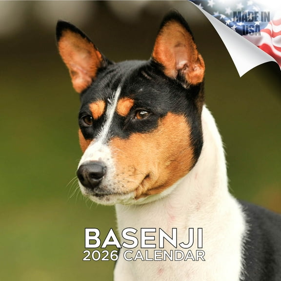 2025 2026 Basenji Calendar - Dog Breed Monthly Wall Calendar - 12 x 24 Open - Thick No-Bleed Paper - Giftable - Academic Teacher's Planner Calendar Organizing & Planning - Made in USA