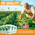 thumbnail image 2 of G-Sweetz Stevia – Allulose All Purpose Sweetener – 2X Sugar Sweetness; Total Servings 1134; Zero Calorie Sweetener, Sugar-Free Substitute for Baking, Smoothies, Coffee; Keto Diet Friendly Food | 5-LB, 2 of 6