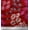 Lipstick Red, variant on Soimoi Cotton Duck Fabric Artistic Flower Print Fabric by the Yard 42 Inch Wide