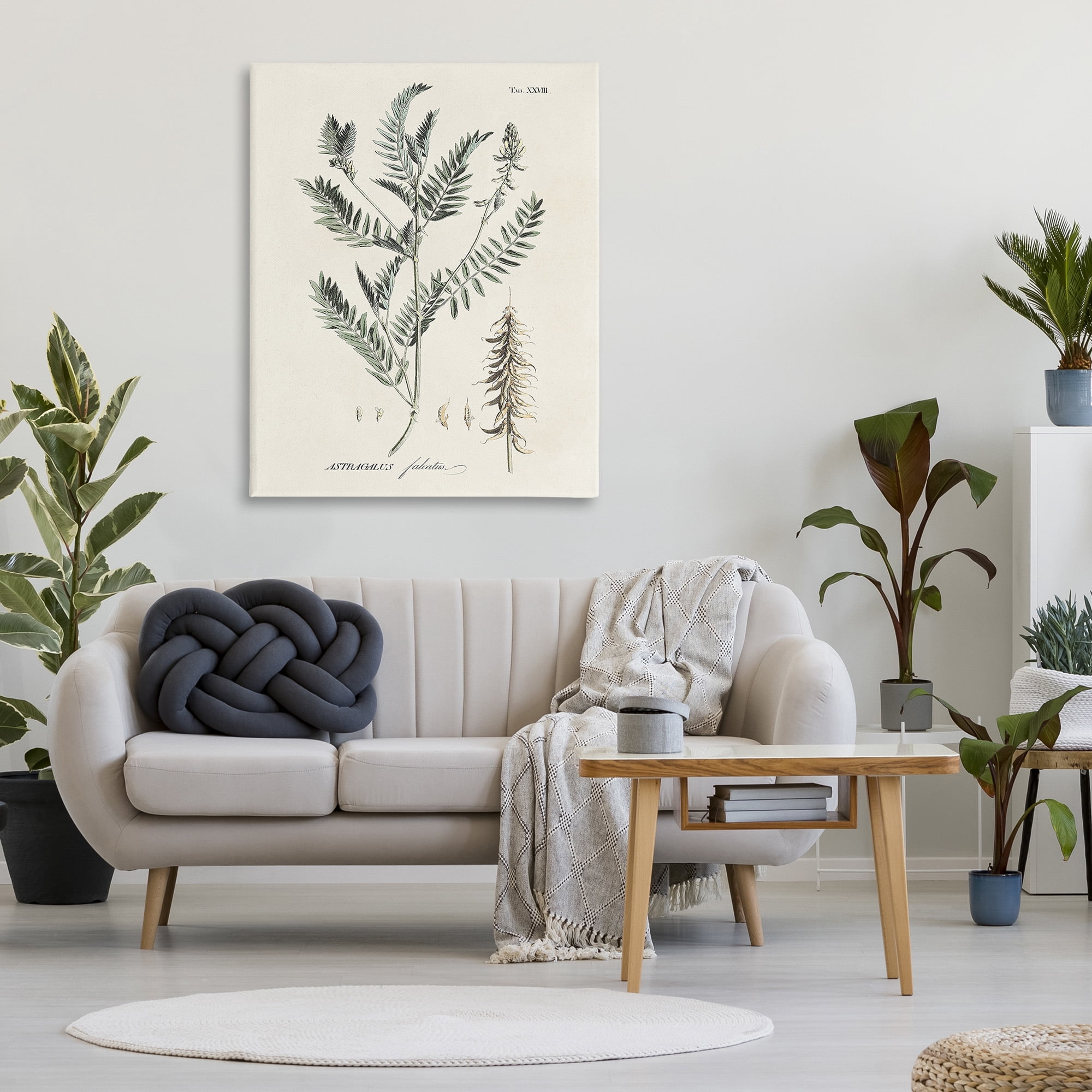 Stupell Industries Woodland Leaf Study Botanical & Floral Painting Gallery Wrapped Canvas Art Print Wall Art, 36 x 48