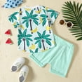thumbnail image 4 of Chenyin Newborn Baby Boys T-Shirt Shorts 2 Piece Outfits Baby Boys Summer Short Sleeve Tees Tops + Elastic Waist Shorts Cotton Hawaiian Set for 0-24 Months, 4 of 9