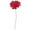 Red, variant on Vickerman Natural Botanicals 6" Red Maize Dahlia. 6 stem/bag. Dried and preserved.