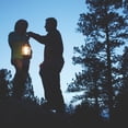 thumbnail image 2 of Coleman NorthStar 1500 Lumens 1-Mantle Propane Lantern with Storage Case, 2 of 11