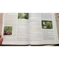 Great Promotion Book The Lost Book of Herbal Remedies I: Uncovering 
