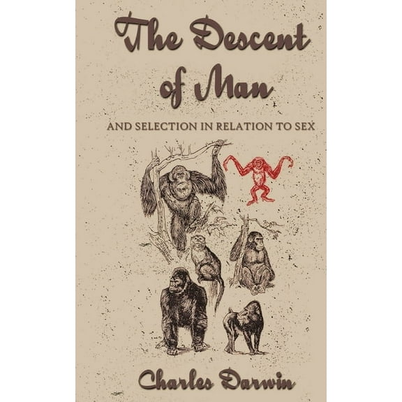 The Descent Of Man, (Paperback)