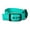 Teal, variant on Vibrant Life Polyester Adjustable Dog Collar, Coral, S