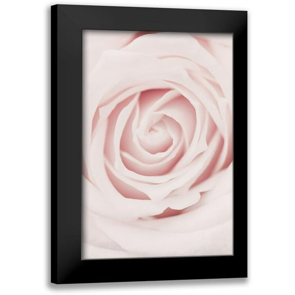 1x Studio III 11x14 Black Modern Framed Museum Art Print Titled - Pink Rose No 02