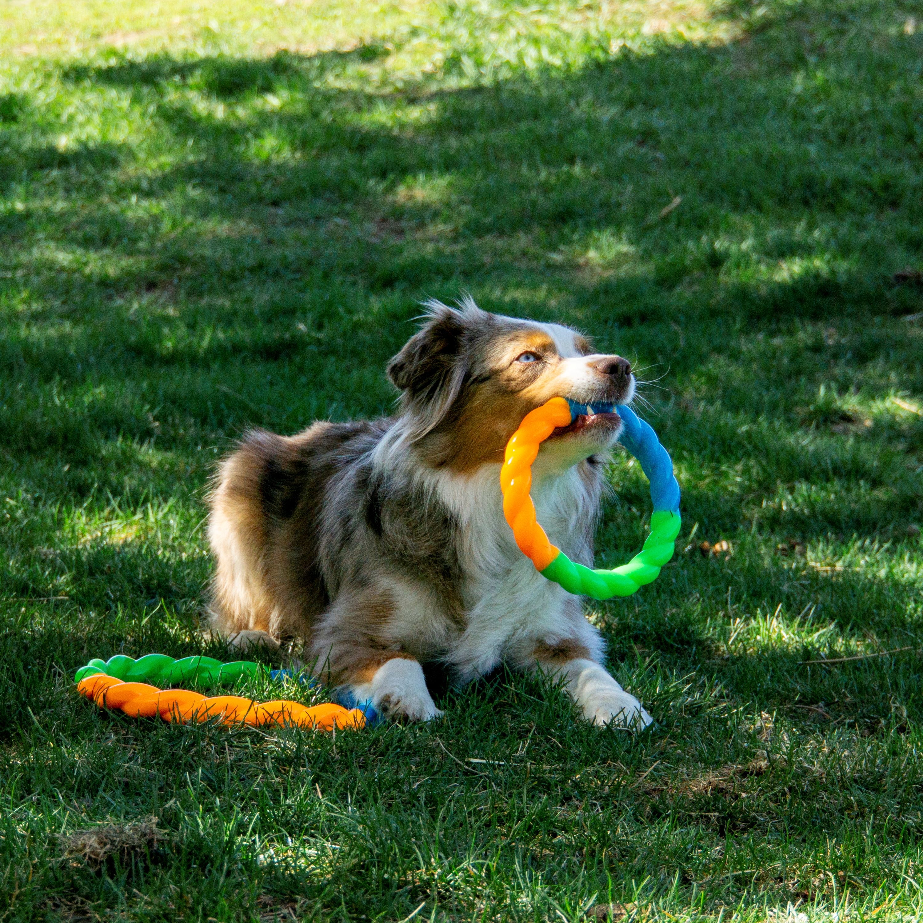 KONG® Twistz High Viz Durable Dog Toy, Glows in the Dark and Floats in Water, Small for Dogs up to 20lbs