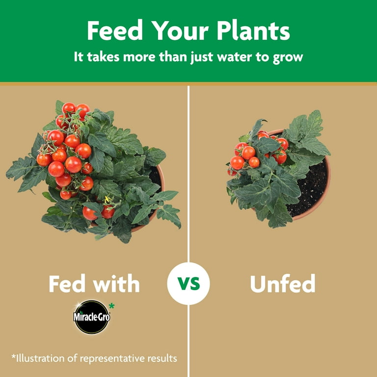 Miracle-Gro Water Soluble Tomato Plant Food, 1.5 lbs. - Walmart.com