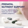 thumbnail image 3 of Metagenics Fem Prenatal - Prenatal Vitamin & Minerals Supplement* - Prenatals for Women* - With Vitamin C, Iodine & Biotin - Multivitamins Gentler to the System - 30 Packets, 3 of 7