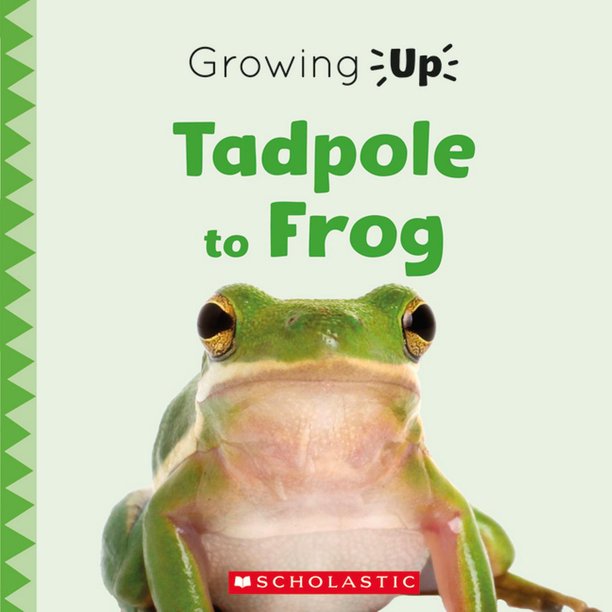 Explore The Life Cycle Tadpole To Frog Growing Up Paperback Walmart Com Walmart Com