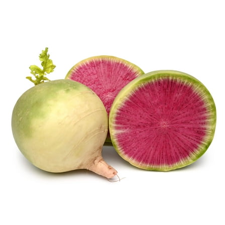 300 Seeds WATERMELON RADISH Beauty Heart Raphanus Sativus Pink White Vegetable Seeds