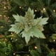 thumbnail image 1 of 1Pcs Christmas Tree Decoration Simulation Flowers Cloth Material Simulation Flowers For Weddings Parties Halls And Other Decorations Holiday Gifts, 1 of 6