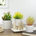 thumbnail image 2 of Northlight 8" Potted Green Artificial Succulent with Wooden Stand, 2 of 5