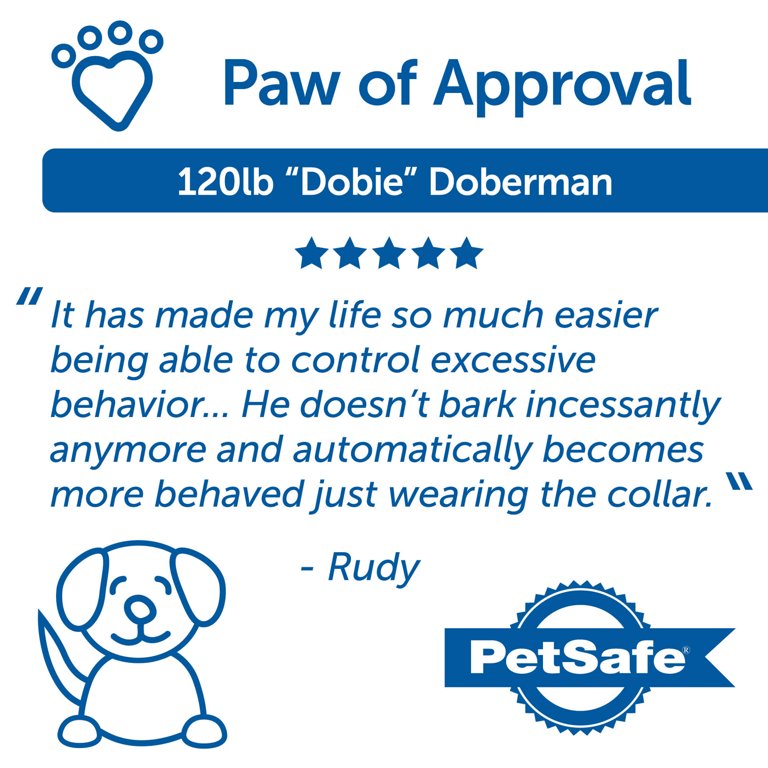 PetSafe Smart Dog Trainer