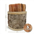 thumbnail image 3 of Better Wood Products All Natural Pine Wood Fatwood Firestarter, 5 Pound Box, 3 of 12