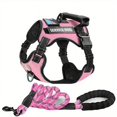 thumbnail image 1 of Adjustable No-Pull Pet Harness & Leash Set - Perfect for Dogs & Cats Walking!, 1 of 5