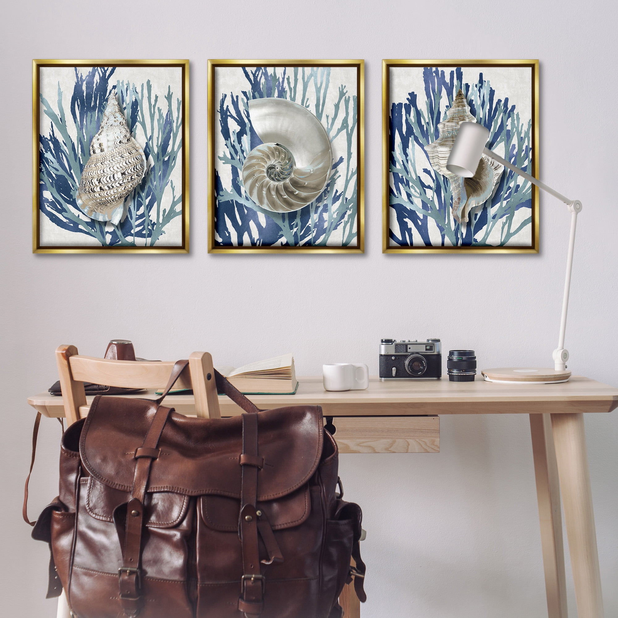 Stupell Industries Trio of Shells & Coral Nature Painting Gold Floater Framed Canvas Art Print Wall Art, 25 x 31, Set of 3