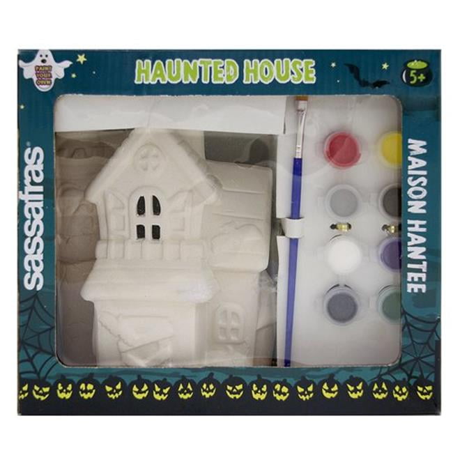Sassafras Enterprises 22244HH Paint Your Own Haunted House Kids