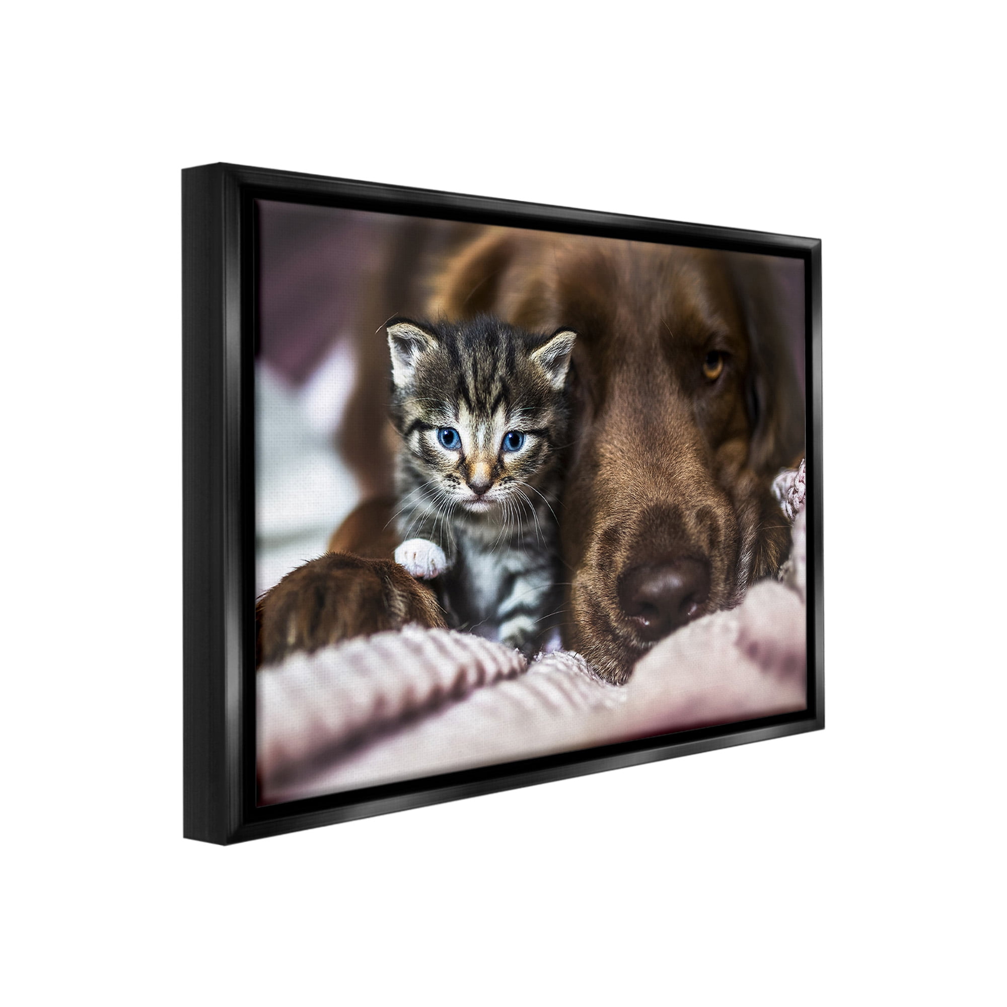 Stupell Industries Kitten & Dog Snuggling Animals & Insects Painting Black Floater Framed Canvas Art Print Wall Art, 21 x 17