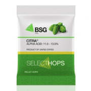 Citra Hop Pellets (US)