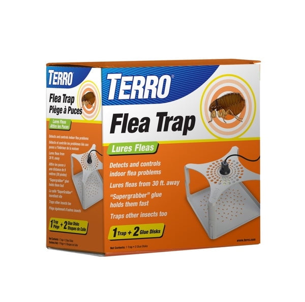 Terro T230 Refillable Flea Trap with Glue Boards - Walmart.com