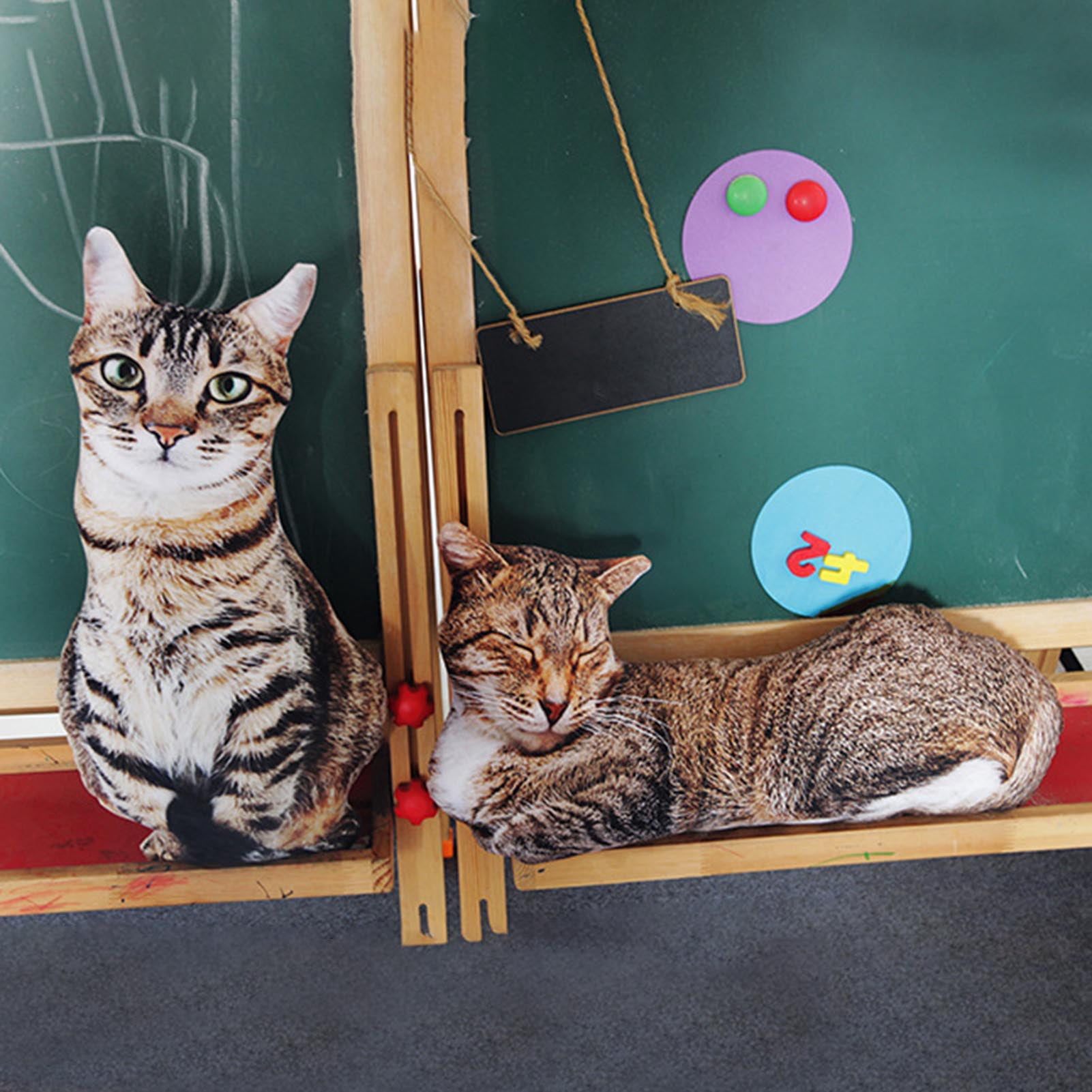 Meomi Cat Cafe Price Haji Lane Singapore Guide 22 Best Things To Do [2025]