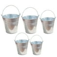 thumbnail image 3 of MasteelfCA 5 Pcs Pots de Fleurs Décoratifs Multi-Fonctions Mini Seaux Décors Galvanisés pour la Maison, 3 of 7