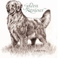 thumbnail image 3 of CafePress - Adultgolden_Cafefinal Light T Shirt - Men's Classic Cotton T-Shirts, 3 of 3