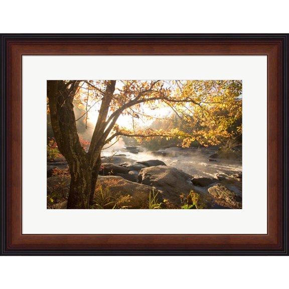 Great Art Now Georgia Fall by Karin Connolly, Framed Wall Art, 26W x 20H