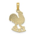 thumbnail image 3 of 14K Yellow Gold Polished Textured Finish KAUAI Rooster Charm Pendant, 3 of 3