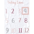 thumbnail image 2 of Gerber Baby Girl Milestone Blanket & Frame Set, 2-Piece, 2 of 6