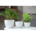 thumbnail image 6 of Round Ceramic Succulent Flower Pot Planters with Attached Saucers and Textured Design, Set of 3, 6 of 7