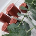 thumbnail image 5 of Elyon Tableware® 36 Coffee Scented Brown Colored Wax Deep Tealight Candles in Plastic Holder, 5 of 5