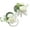 Ivory, variant on Ivory Ranunculus Peony Wrist Corsage Wristlet Band Bracelet and Men Boutonniere Set for White Wedding Flower Accessories Prom Suit Decorations